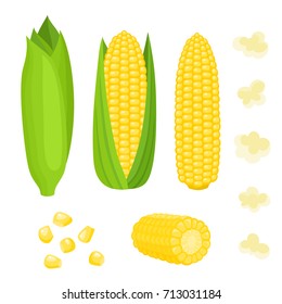 Bright vector collection of colorful yellow corn. Fresh cartoon organic vegetable isolated on white background used for magazine, book, poster, card, menu cover, web pages.