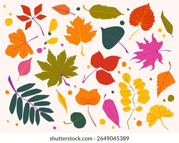 Bright vector collection of fall leaves. Includes various shapes and colors for autumn themes, nature design and decor