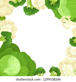 Bright vector frame of colorful broccoli, culiflower and cabbage. Fresh cartoon different vegetable isolated on white background used for magazine, book, poster, card, menu cover, web pages.