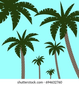 Bright vector green leaf floral banner template for summer palm beach paradise party. Tropical flyer with exotic palm leaves exotic jungle and hawaii tropic green plants.