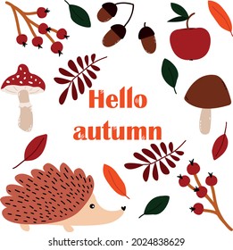 A bright vector with a hedgehog, mushrooms, branches and berries. autumn vector for postcards, children's gifts, covers, invitations, backgrounds, sticker