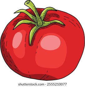 A bright vector icon for decoration. Juicy red tomatoes are good nutrition and healthy food. Vivid illustrations for the kitchen