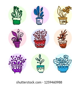 Bright vector icon set of housplants in pots