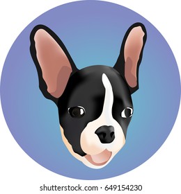 Bright vector illustration. Beautiful dog. Bulldog
