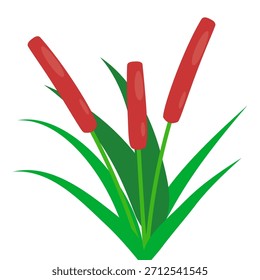 Ilustración vectorial brillante de plantas de cola de gato con hojas verdes y púas marrones. Estilo plano limpio para diseños de naturaleza, decoración, tarjetas, iconos y proyectos botánicos.