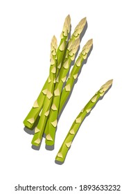 Bright vector illustration of colorful asparagus vegetables- farm product for restaurant menu, market - on a white background top view used for magazine, book, poster, card, menu cover, web pages