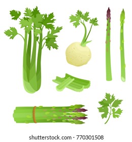 Bright vector illustration of colorful asparagus, celery. Fresh cartoon organic vegetable isolated on white background used for magazine, book, poster, card, menu cover, web pages.