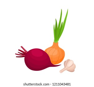 Bright vector illustration of colorful beetroot, carrot and garlic. Cartoon organic vegetable isolated on white background used for magazine, book, poster, card, menu cover, web pages.