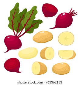 Bright vector illustration of colorful beetroot, potato. Fresh cartoon organic vegetable isolated on white background used for magazine, book, poster, card, menu cover, web pages.
