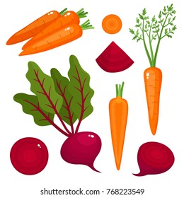 Bright vector illustration of colorful beetroot, carrot. Fresh cartoon organic vegetable isolated on white background used for magazine, book, poster, card, menu cover, web pages.