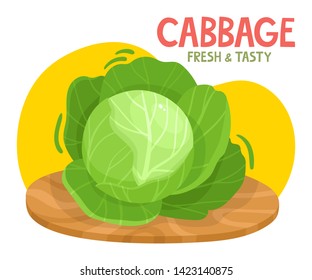 Bright vector illustration of colorful cabbage. Fresh cartoon organic vegetable with name isolated on white background used for magazine, book, poster, card, menu cover, web pages.