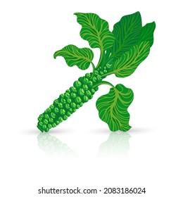 Bright vector illustration of colorful cabbage. Fresh cartoon organic vegetable isolated on white background used for magazine, book, poster, card, menu cover, web pages.
