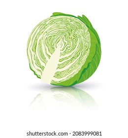 Bright vector illustration of colorful cabbage. Fresh cartoon organic vegetable isolated on white background used for magazine, book, poster, card, menu cover, web pages.