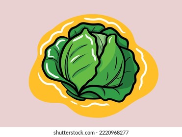 Ilustración vectorial brillante de col colorida. Caricatura fresca vegetal orgánica con nombre aislado en fondo blanco usado para revista, libro, afiche, tarjeta, portada de menú, páginas web.