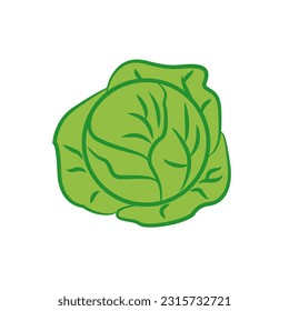 Bright vector illustration of colorful cabbage isolated on white background. Simple cartoon illustration of green fresh vegetable. Cauliflower head. The concept of vegetables, farming, gardening