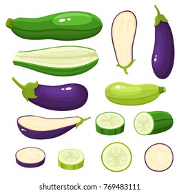 Bright vector illustration of colorful eggplant, zucchini. Fresh cartoon organic vegetable isolated on white background used for magazine, book, poster, card, menu cover, web pages.