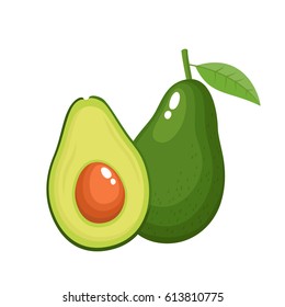 Bright vector illustration of colorful half and whole of fresh avocado. Fresh cartoon avocados isolated on white background.