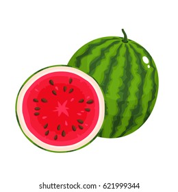 Bright vector illustration of colorful half and whole of juice watermelon. Fresh cartoon berry isolated on white background.