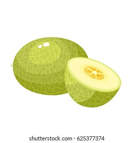 Bright vector illustration of colorful half, slice and whole of juice melon. Fresh cartoon vegetable isolated on white background.