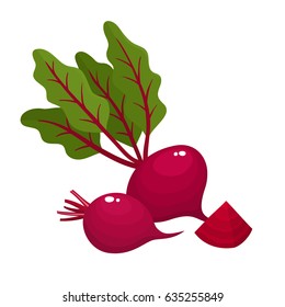 Bright vector illustration of colorful half, slice and whole of beets. Fresh cartoon vegetable isolated on white background. Illustration used for magazine, book, poster, card, menu cover, web pages.