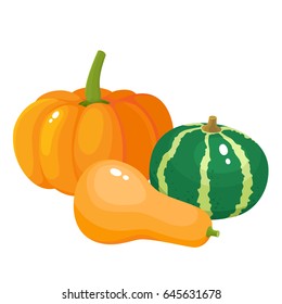 Bright vector illustration of colorful half, slice and whole of pumpkins. Fresh cartoon different vegetable isolated on white background used for magazine, book, poster, card, menu cover, web pages.