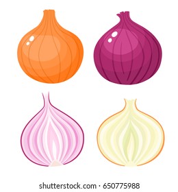 Bright vector illustration of colorful half, slice and whole of onion. Fresh cartoon vegetable isolated on white background. Illustration used for magazine, book, poster, card, menu cover, web pages.