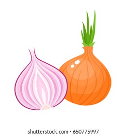 Bright vector illustration of colorful half, slice and whole of onion. Fresh cartoon vegetable isolated on white background. Illustration used for magazine, book, poster, card, menu cover, web pages.