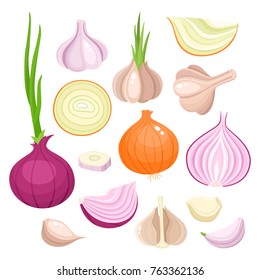 Bright vector illustration of colorful onion, garlic. Fresh cartoon organic vegetable isolated on white background used for magazine, book, poster, card, menu cover, web pages.