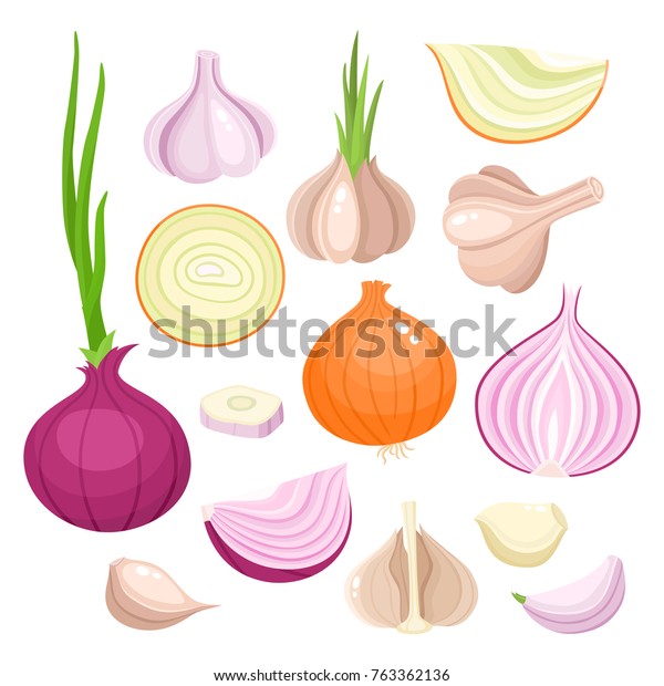 Bright Vector Illustration Colorful Onion Garlic Stock Vector (Royalty ...