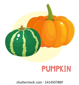 Bright vector illustration of colorful of pumpkins. Fresh cartoon different vegetable with name isolated on white background used for magazine, book, poster, card, menu cover, web pages.
