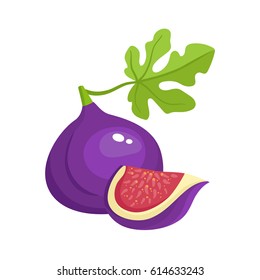 Bright vector illustration of colorful slice and whole of juicy fig. Fresh cartoon fig isolated on white background. Juice or jam logotype.