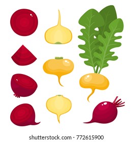 Bright vector illustration of colorful turnips, beets. Fresh cartoon organic vegetable isolated on white background used for magazine, book, poster, card, menu cover, web pages.