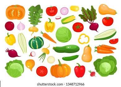 Bright vector illustration of colorful vegetables. Fresh cartoon organic vegetable isolated on white background used for magazine, book, poster, card, menu cover, web pages.