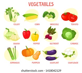 Bright vector illustration of colorful vegetables with text. Fresh cartoon organic vegetable isolated on white background used for magazine, book, poster, card, menu cover, web pages.