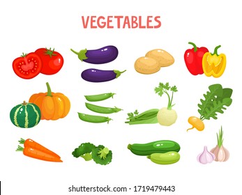 Bright vector illustration of colorful vegetables. Fresh cartoon organic vegetable isolated on white background used for magazine, book, poster, card, menu cover, web pages.