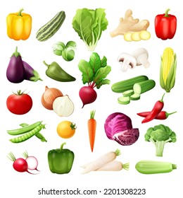 Bright vector illustration of colorful vegetables