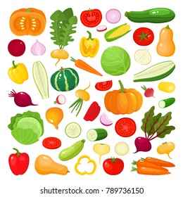 Bright vector illustration of colorful vegetables. Fresh cartoon organic vegetable isolated on white background used for magazine, book, poster, card, menu cover, web pages.