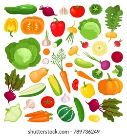 Bright vector illustration of colorful vegetables. Fresh cartoon organic vegetable isolated on white background used for magazine, book, poster, card, menu cover, web pages.