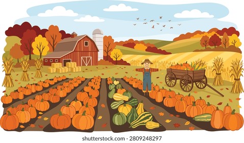 Bright vector illustration featuring a sprawling autumn pumpkin patch with a rustic barn and a friendly scarecrow standing outdoors