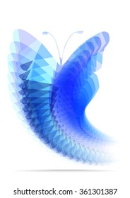 bright vector illustration of flying blue butterfly silhouette