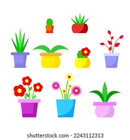 bright vector illustration of house plants, flower pots, set indoor plants, flowers and cacti, hand drawing 