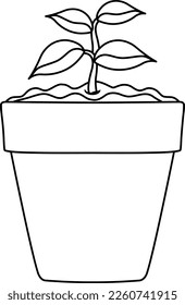 ilustración vectorial brillante de una olla con plántulas, una planta joven, plantas interiores y un huerto, garabato y boceto 