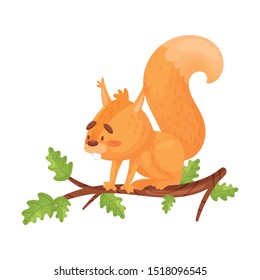 Bright Vector Illustration Of Sitting On A Branch Red Squirrel.