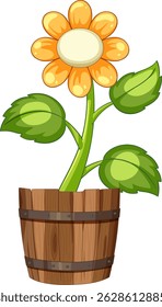 Bright vector illustration of a sunflower with vibrant green leaves in a rustic wooden pot. Simple and colorful design