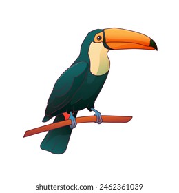 Bright vector illustration of a tropical toco toucan bird sitting on a branch, isolated on a white background. Ramphastos bird