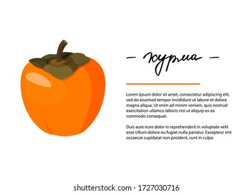 Bright vector illustration of whole persimmon. Fresh cartoon fruit design template for article or recipe with hand lettering. Inscription in Russian: persimmon.