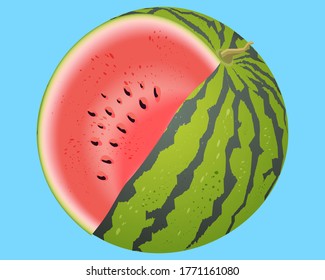 Bright vector image of sliced watermelon. Fresh cartoon berry isolated on blue background.