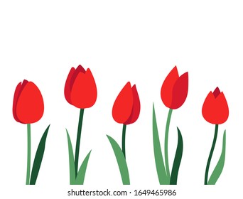 Bright vector layout with red tulip flowers and green leaves isolated on white background. Empty place for text. Minimal design concept for banner, promotion offer, spring and summer sale, advertising