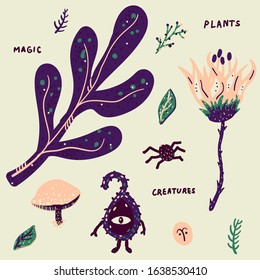 Bright vector magic set, witch household items, hand drawn words, ornamental plants, creatures, mystical illustration flat design, occulture for kid s fantasy spiritual life. All elements are isolated