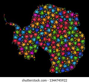 Bright vector marijuana Antarctica continent map mosaic on a black background. Template with multi-colored herbal leaves for weed legalize campaign.